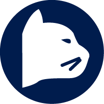 Veterinario de Gatos