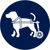 Rehabilitación