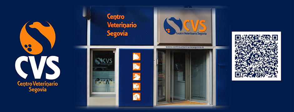 contacto